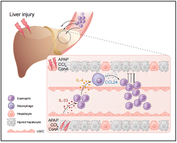 /crm/product/image/20220620/1655719141259059721.png 1655719141259059721.png