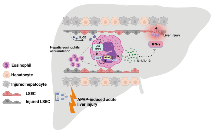 /crm/product/image/20220620/1655719163173017520.png 1655719163173017520.png