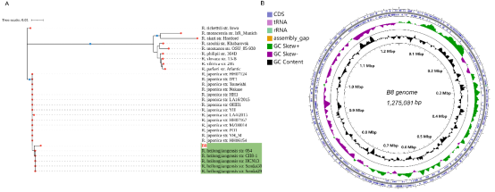 /crm/product/image/20230216/1676598646430065704.png 1676598646430065704.png